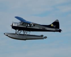 Dehavilland Beaver in Flight