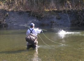 Fly Fishing