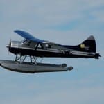 Dehavilland beaver in flight